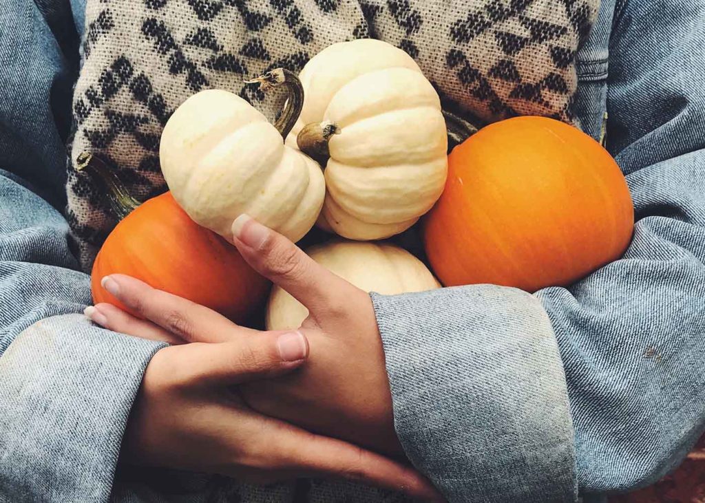 weiß und orangen Farbene Hokaidokürbisse werden gehalten